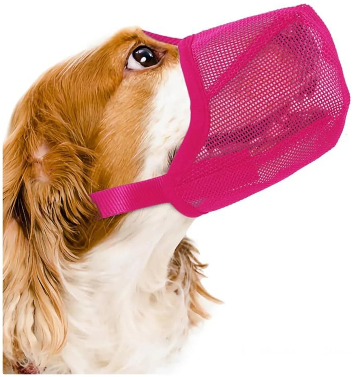 Breathable Mesh Dog Muzzle - anti - Bite, Chew & Scavenge Safety Mask for Dogs