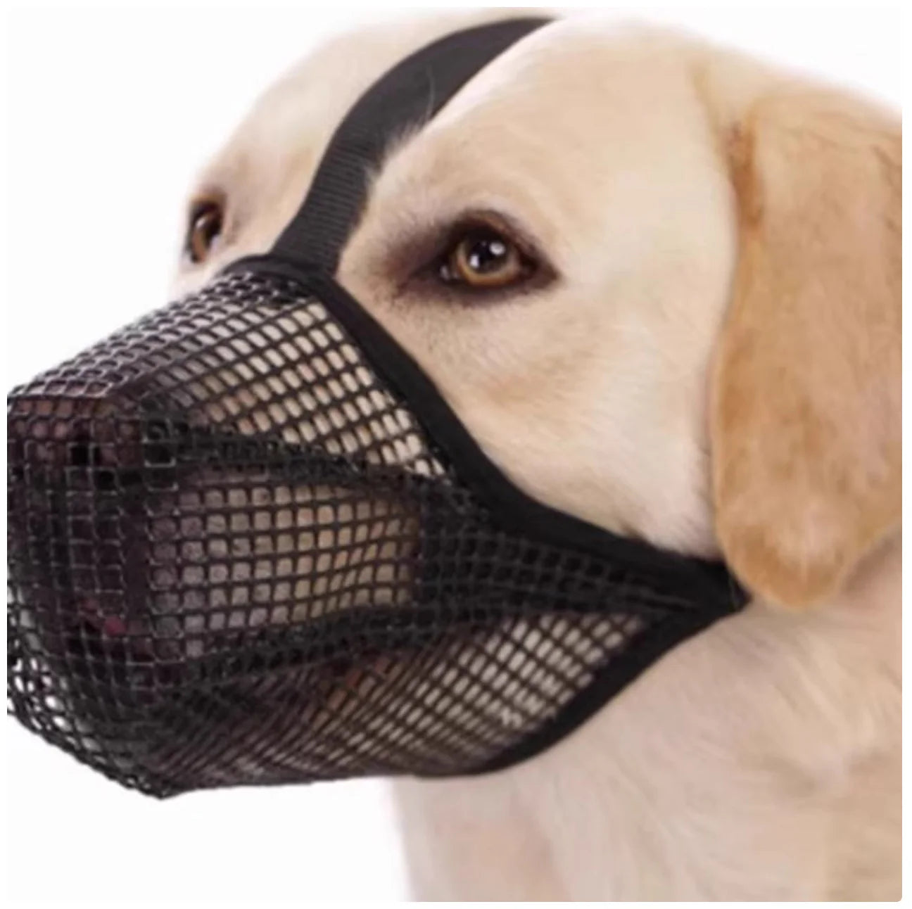 Breathable Mesh Dog Muzzle - anti - Bite, Chew & Scavenge Safety Mask for Dogs