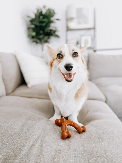 Ergonomic Hold Wishbone Power Chew Toy for Dogs, Dog Toys for Aggressive Chewers, Bison Flavor, Small - up to 25 Ibs, 1 Count