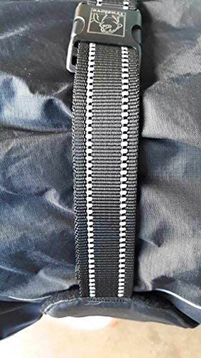 Mt. Tallac Winter Dog Coat - Technical Jacket Is, Black, Size 22" - 55Cm